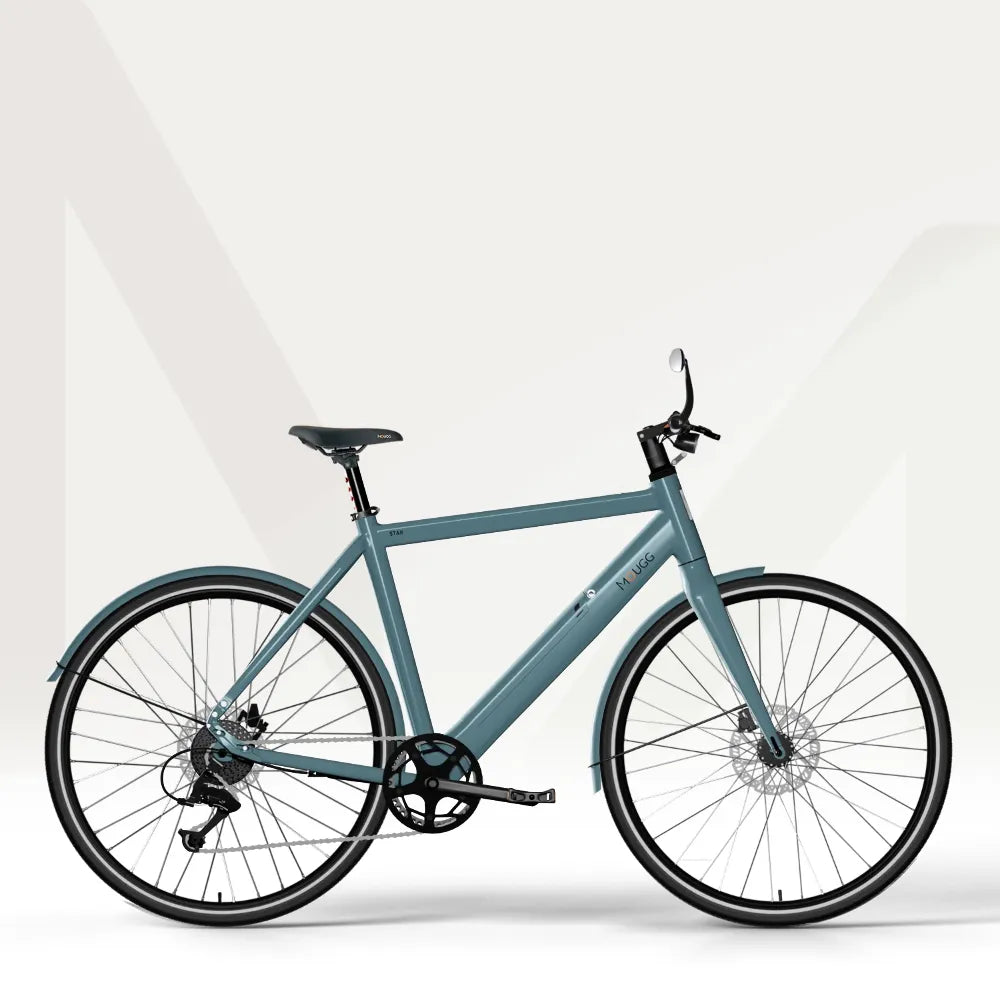 MOUGG STAR CDI - Kundenkonfiguration Preis: 2295.00