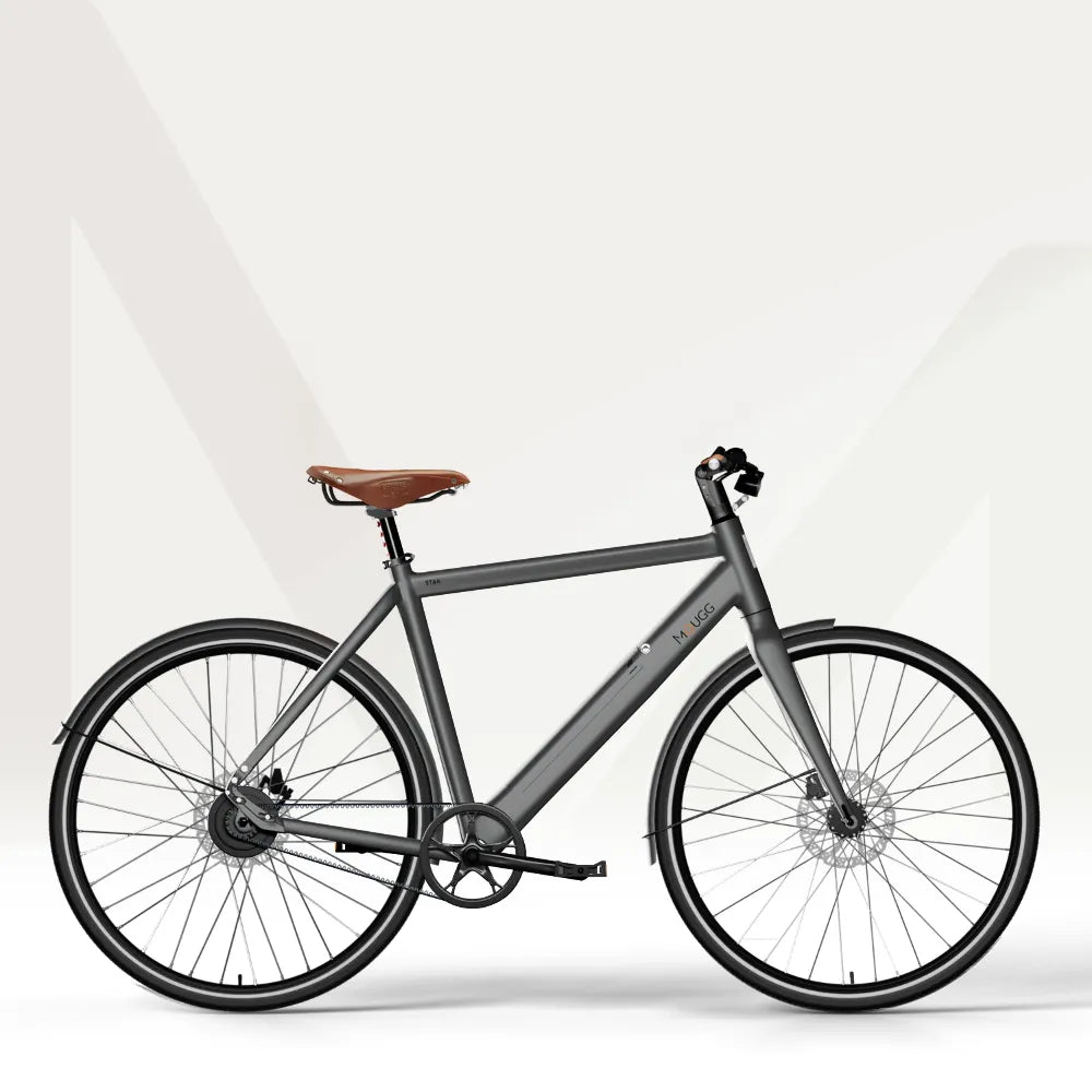 MOUGG STAR CDI - Kundenkonfiguration Preis: 2324.00