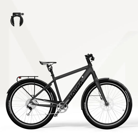 MOUGG Explorer - Kundenkonfiguration Preis: 3017.00