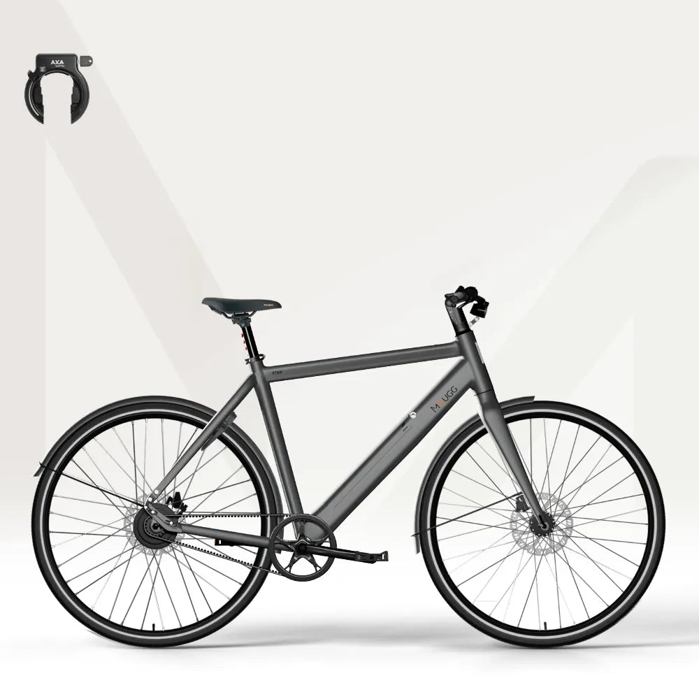 MOUGG STAR CDI - Kundenkonfiguration Preis: 2216.00