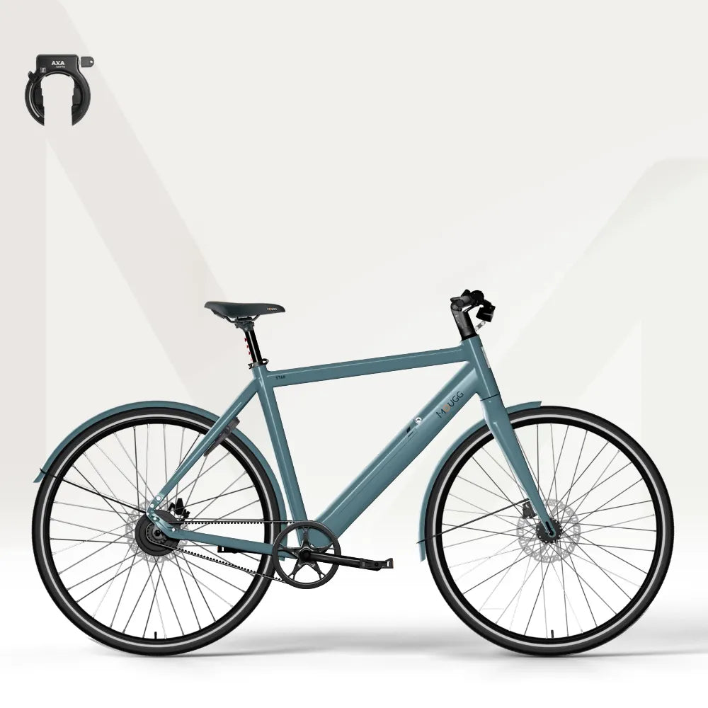 MOUGG STAR CDI - Kundenkonfiguration Preis: 2117.00