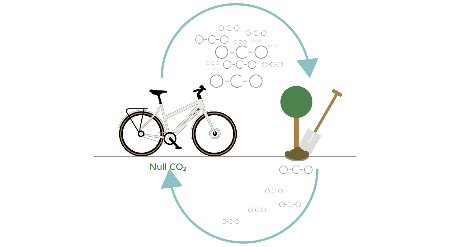 Graphic CO2 compensation